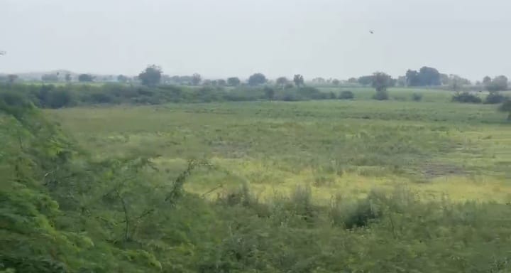 4 Acres BT Road Attachment Agriculture Land in Chincholi Taluk, Kalaburagi District, Karnataka | ₹15 Lakhs per Acre | BHOOVIX BX-33107
