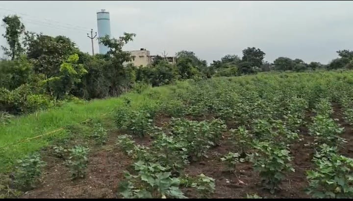 1 Acre 16 Guntas Black Soil Agriculture Land for Sale in Bantawaram Mandal, Vikarabad District, Telangana | ₹26 Lakhs/Acre | BHOOVIX BX-33171