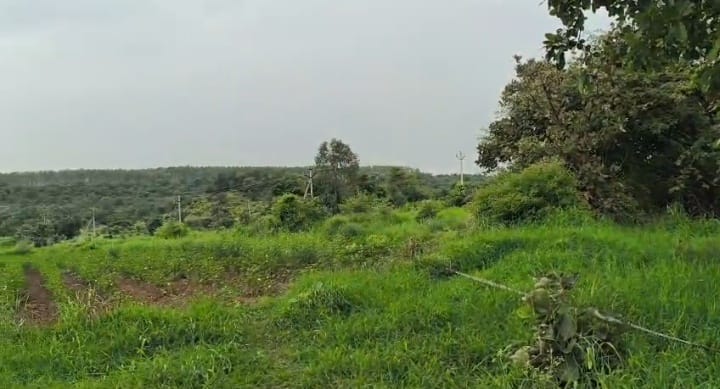 1 Acre 16 Guntas Black Soil Agriculture Land for Sale in Bantawaram Mandal, Vikarabad District, Telangana | ₹26 Lakhs/Acre | BHOOVIX BX-33171