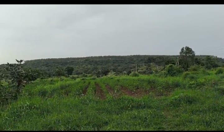 1 Acre 16 Guntas Black Soil Agriculture Land for Sale in Bantawaram Mandal, Vikarabad District, Telangana | ₹26 Lakhs/Acre | BHOOVIX BX-33171