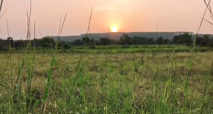 3 Acres Black Soil Agriculture Land in Batwaram mandal, Vikarabad District, Telangana|  | ₹26 lakhs/Acre | BHOOVIX BX-33177