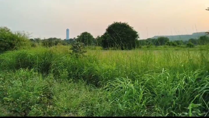 3 Acres Black Soil Agriculture Land in Batwaram mandal, Vikarabad District, Telangana|  | ₹26 lakhs/Acre | BHOOVIX BX-33177