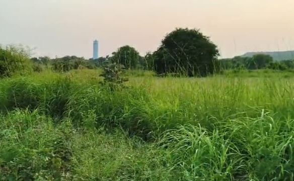 Black Soil Agriculture Land