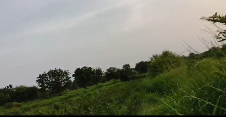 3 Acres Black Soil Agriculture Land in Batwaram mandal, Vikarabad District, Telangana|  | ₹26 lakhs/Acre | BHOOVIX BX-33177