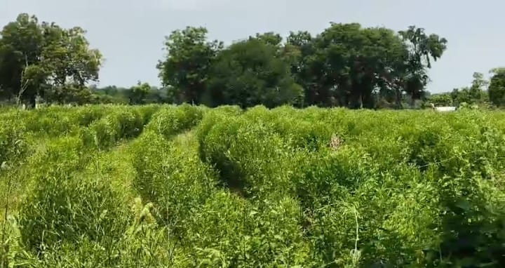 1 Acre Black Soil Agriculture Land in Dharur Mandal, Vikarabad District, Telangana | ₹40 Lakhs/Acre | BHOOVIX BX-33182