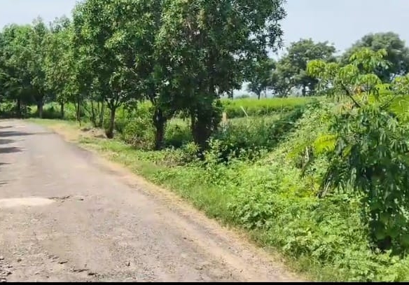 1 Acre Black Soil Agriculture Land