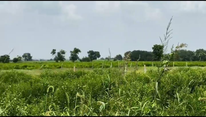 1 Acre Black Soil Agriculture Land in Dharur Mandal, Vikarabad District, Telangana | ₹40 Lakhs/Acre | BHOOVIX BX-33182