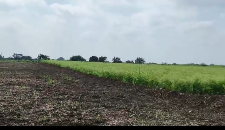 2 Acres Black Soil Agricultural Land for Sale in Peddamul Mandal, Vikarabad District, Telangana | ₹23 Lakhs/Acre | BHOOVIX BX-33188