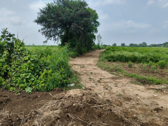 2 Acres Black Soil Land