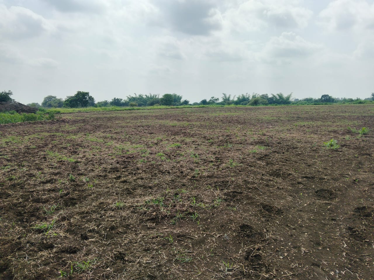 2 Acres Black Soil Agricultural Land for Sale in Peddamul Mandal, Vikarabad District, Telangana | ₹23 Lakhs/Acre | BHOOVIX BX-33188
