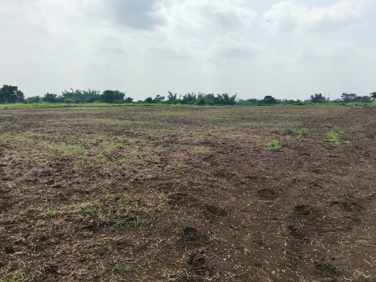 2 Acres Black Soil Agricultural Land for Sale in Peddamul Mandal, Vikarabad District, Telangana | ₹23 Lakhs/Acre | BHOOVIX BX-33188