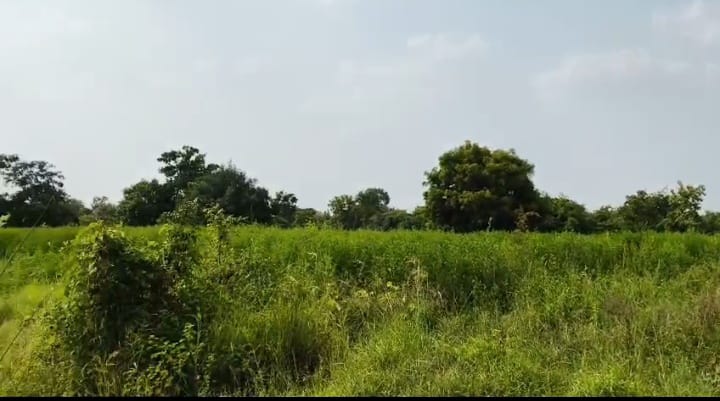1 Acre Black Soil Agriculture Land in Dharur Mandal, Vikarabad District, Telangana|₹35 Lakhs/Acre | BHOOVIX BX-33193