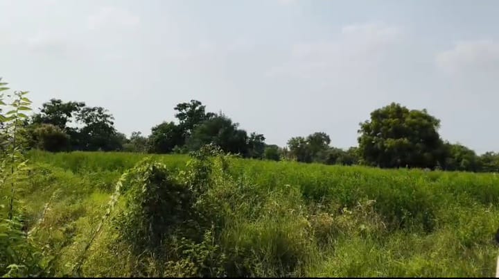 1 Acre Black Soil Agriculture Land in Dharur Mandal, Vikarabad District, Telangana|₹35 Lakhs/Acre | BHOOVIX BX-33193