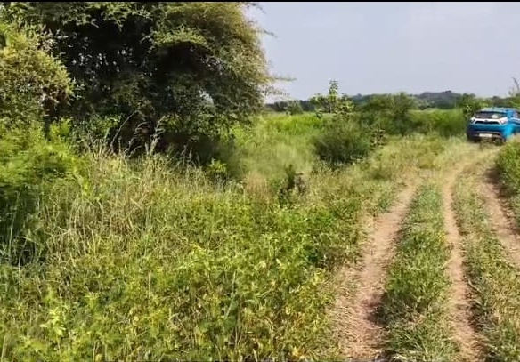 1 Acre Black Soil Agriculture Land