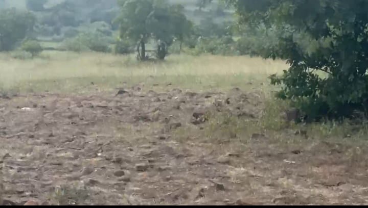 ₹9 Lakhs/Acre | 8 Acres Black Soil Agriculture Land in Kamalapur Taluk, Kalaburagi District, Karnataka | BHOOVIX BX-33199