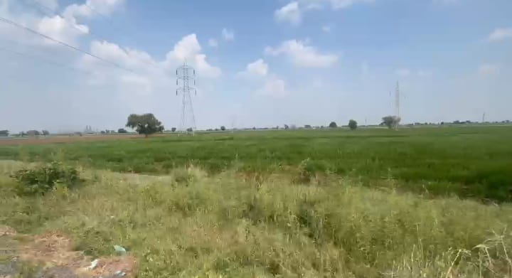 3 Acres BT Road Facing Black Soil Agriculture Land in Sedam Taluk, Kalaburagi District, Karnataka | ₹40 Lakhs Per Acre | BHOOVIX BX-33126