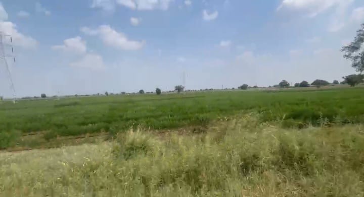 3 Acres BT Road Facing Black Soil Agriculture Land in Sedam Taluk, Kalaburagi District, Karnataka | ₹40 Lakhs Per Acre | BHOOVIX BX-33126