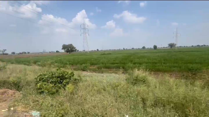 3 Acres BT Road Facing Black Soil Agriculture Land in Sedam Taluk, Kalaburagi District, Karnataka | ₹40 Lakhs Per Acre | BHOOVIX BX-33126