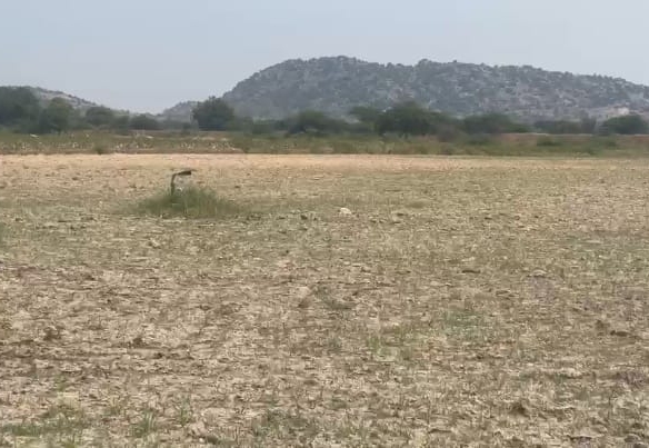 4 acres Mixed soil agriculture land