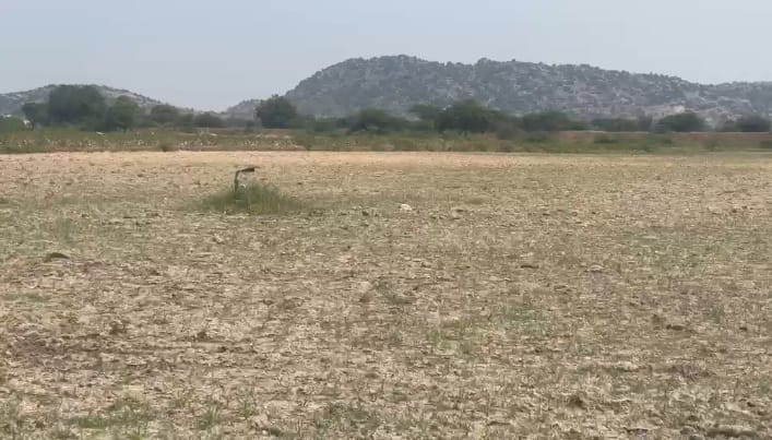 4 Acres Mixed Soil Agriculture Land with Two-Way Road Access in Yadgir District, Karnataka| ₹13 Lakhs Per Acre| BHOOVIX BX-33134