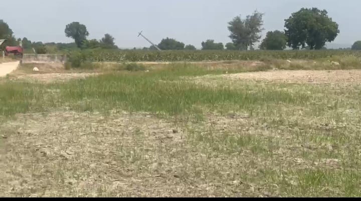 4 Acres Mixed Soil Agriculture Land with Two-Way Road Access in Yadgir District, Karnataka| ₹13 Lakhs Per Acre| BHOOVIX BX-33134