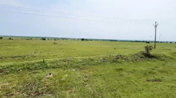 60 Acres Agriculture Land for Sale in Nagalgidda Mandal, Sangareddy District, Telangana | ₹23 Lakhs/Acre | BHOOVIX BX-33272
