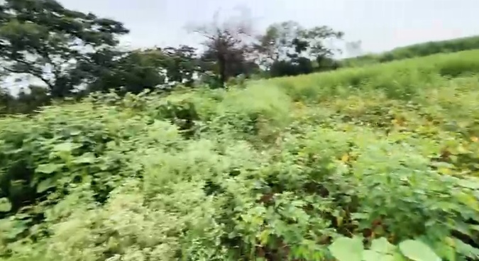 24 Guntas Black Soil Agriculture Land for Sale in Zaheerabad Mandal, Sangareddy District, Telangana | ₹1.5 Lakhs/Gunta | BHOOVIX BX-33279