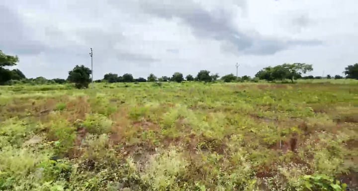 1 Acre Black Soil Land for Sale in Narayankhed Mandal, Sangareddy District, Telangana | ₹95 Lakhs/Acre | BHOOVIX BX-33285