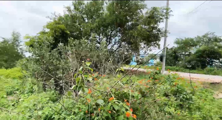 1 Acre Black Soil Land for Sale in Narayankhed Mandal, Sangareddy District, Telangana | ₹95 Lakhs/Acre | BHOOVIX BX-33285