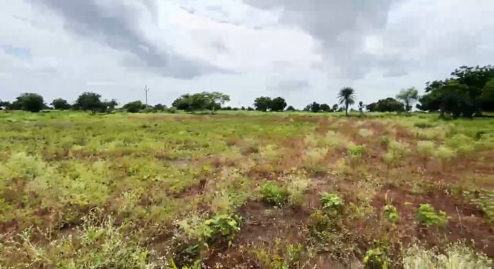 1 Acre Black Soil Land for Sale in Narayankhed Mandal, Sangareddy District, Telangana | ₹95 Lakhs/Acre | BHOOVIX BX-33285