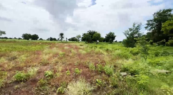1 Acre Black Soil Land for Sale in Narayankhed Mandal, Sangareddy District, Telangana | ₹95 Lakhs/Acre | BHOOVIX BX-33285