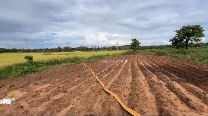 3 Acres Agriculture Land for Sale in Narayankhed Mandal, Sangareddy District, Telangana | ₹52 Lakhs/Acre | BHOOVIX BX-33292