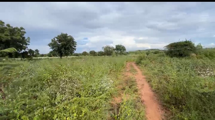3 Acres Agriculture Land for Sale in Narayankhed Mandal, Sangareddy District, Telangana | ₹52 Lakhs/Acre | BHOOVIX BX-33292