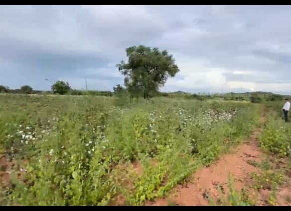 3 Acres Agriculture Land