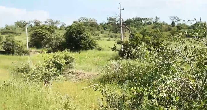 ₹7.5 Lakhs/Acre | 3 Acres Agriculture Land for Sale in Kamalapur Taluk, Kalaburagi District, Karnataka | BHOOVIX BX-33298