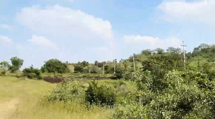 ₹7.5 Lakhs/Acre | 3 Acres Agriculture Land for Sale in Kamalapur Taluk, Kalaburagi District, Karnataka | BHOOVIX BX-33298