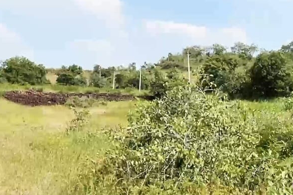3 Acres Agriculture Land