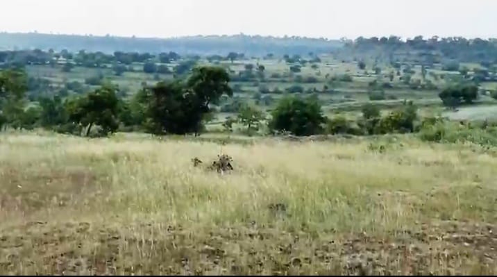 8 Acres Agricultural Land for Sale in Kamalapur Taluk, Kalaburagi District, Karnataka | ₹7.5 Lakhs/Acre | BHOOVIX BX-33304