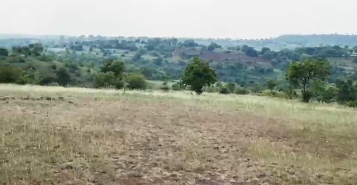 8 Acres Agricultural Land for Sale in Kamalapur Taluk, Kalaburagi District, Karnataka | ₹7.5 Lakhs/Acre | BHOOVIX BX-33304