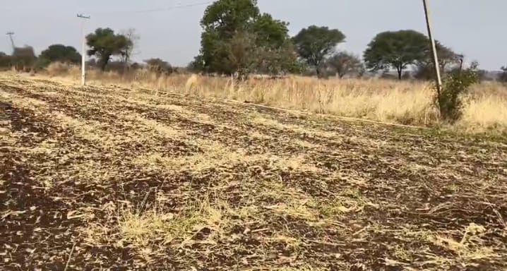 2 Acres Black Soil Agricultural Land for Sale in Marpally Mandal, Vikarabad District, Telangana | BHOOVIX BX-33310