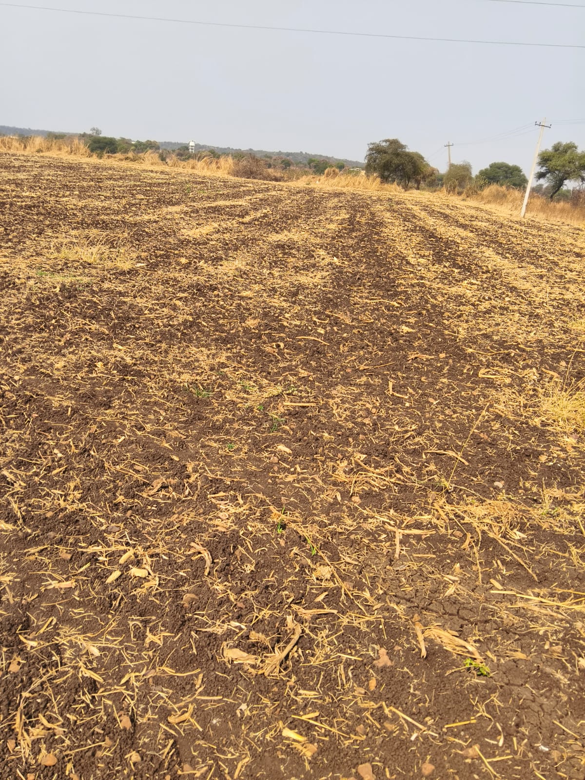 2 Acres Black Soil Agricultural Land for Sale in Marpally Mandal, Vikarabad District, Telangana | BHOOVIX BX-33310