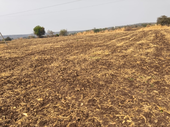 Black Soil Agriculture Land