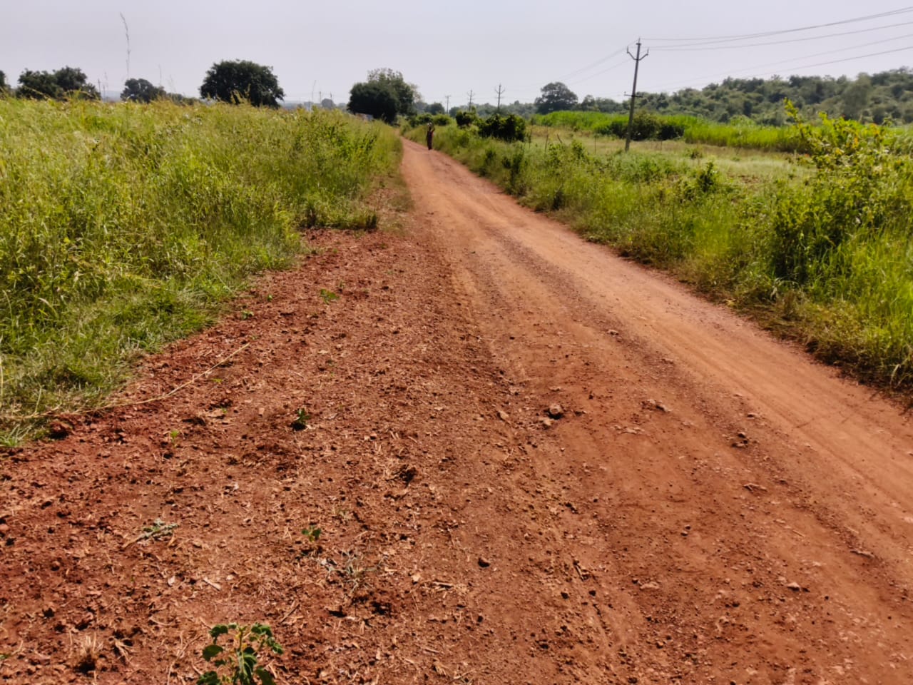 3 Acres Red Soil Agriculture Land for Sale in Vikarabad District, Telangana|  ₹55 Lakhs per Acre | BHOOVIX BX-33566