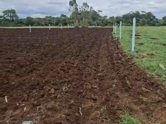 10 Guntas Black Soil Land