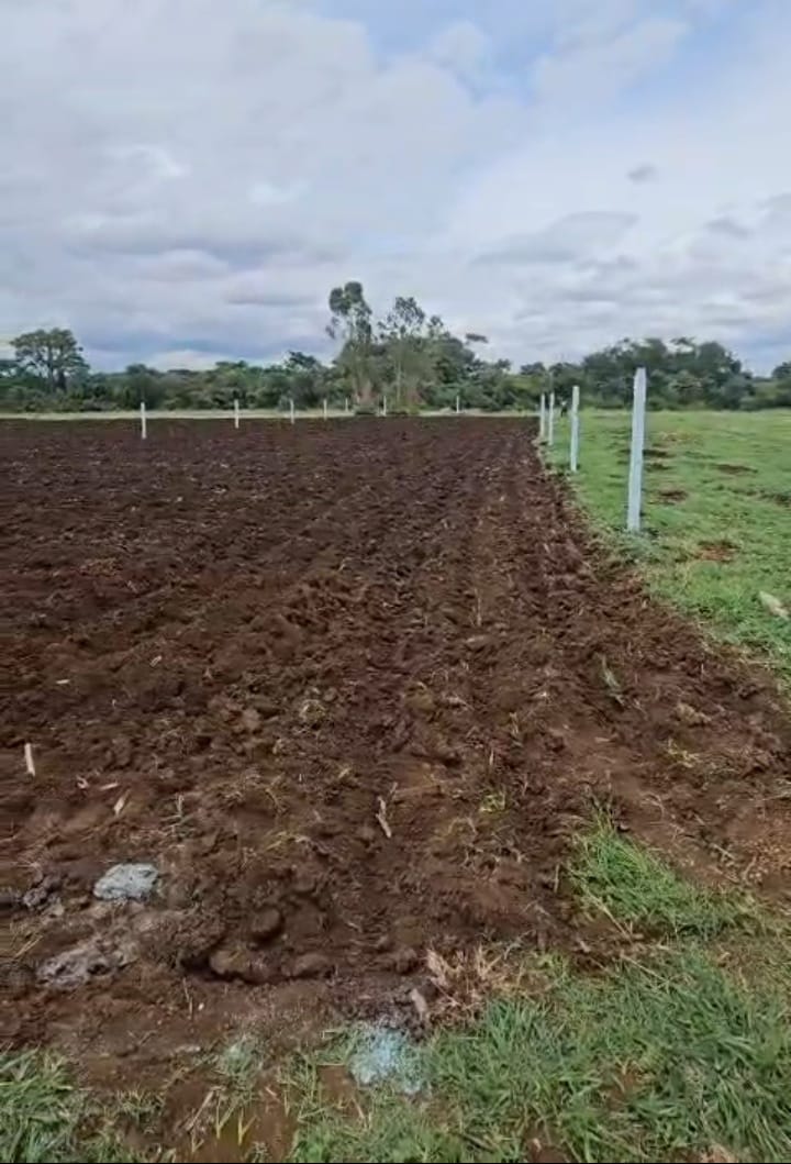 10 Guntas Black Soil Land
