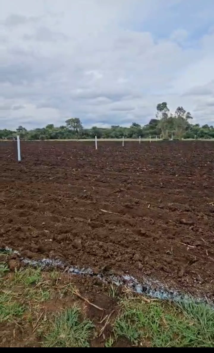 10 Guntas Black Soil Agricultural Land for Sale in Pudur, Vikarabad District, Telangana | Total price 40 Lakhs | BHOOVIX BX-33479