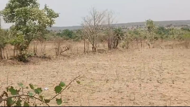 2 Acres Mixed Soil Agricultural Land for Sale in Marpally, Vikarabad District, Telangana | ₹26 Lakhs/Acre | BHOOVIX BX-33493
