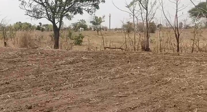 2 Acres Mixed Soil Agricultural Land for Sale in Marpally, Vikarabad District, Telangana | ₹26 Lakhs/Acre | BHOOVIX BX-33493