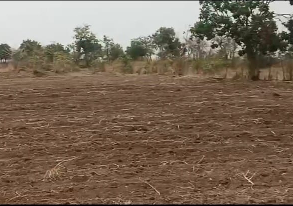 2 Acres Mixed Soil Land