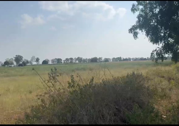 5 Acres Agriculture Land